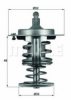 BEHR TX 82 80D Thermostat, coolant